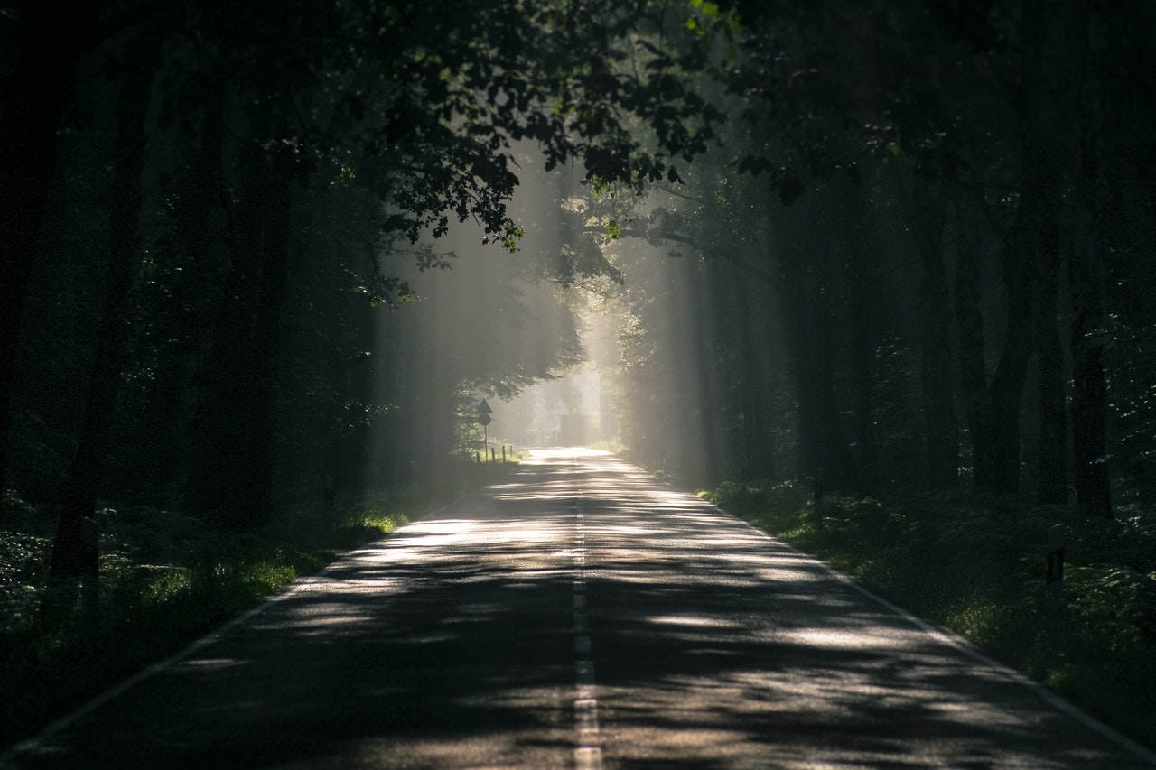 sun beams through the trees on a road
