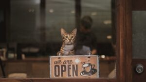 A cat peeking over an open sign in a shop window, representing Unjust enrichment
