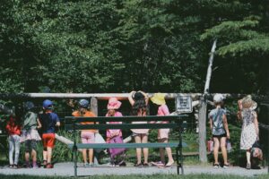 A line of children peering through a fence into an animal enclosure at the zoo, representing section 7 expenses.