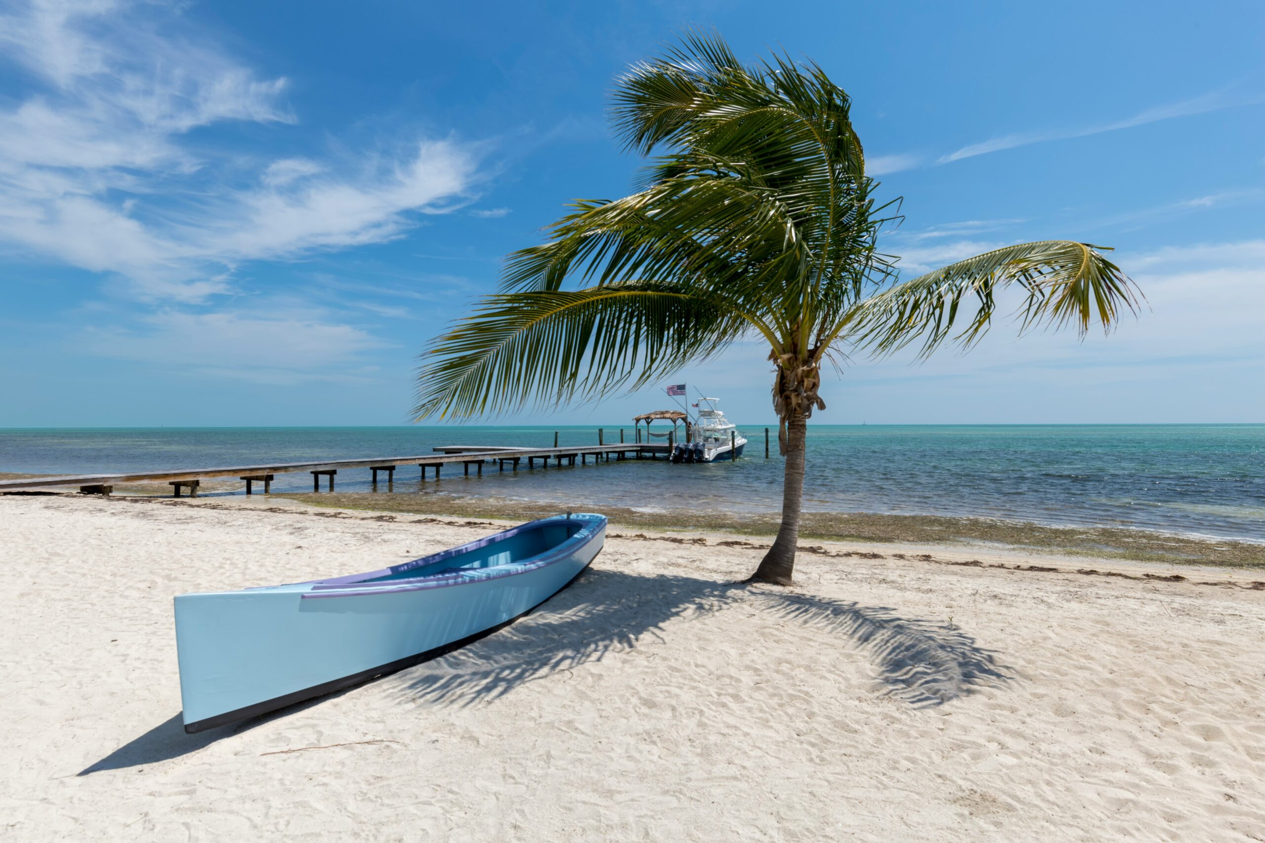 A boat on a tropical beach under a palm tree, representing securing support payments.