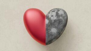A heart split in two: one half is a smooth, vibrant red, while the other is rough, gray, and textured like a stone, symbolizing the emotional and financial challenges of a gray divorce. This image relates to Gray Divorce: Securing Your Financial Future.