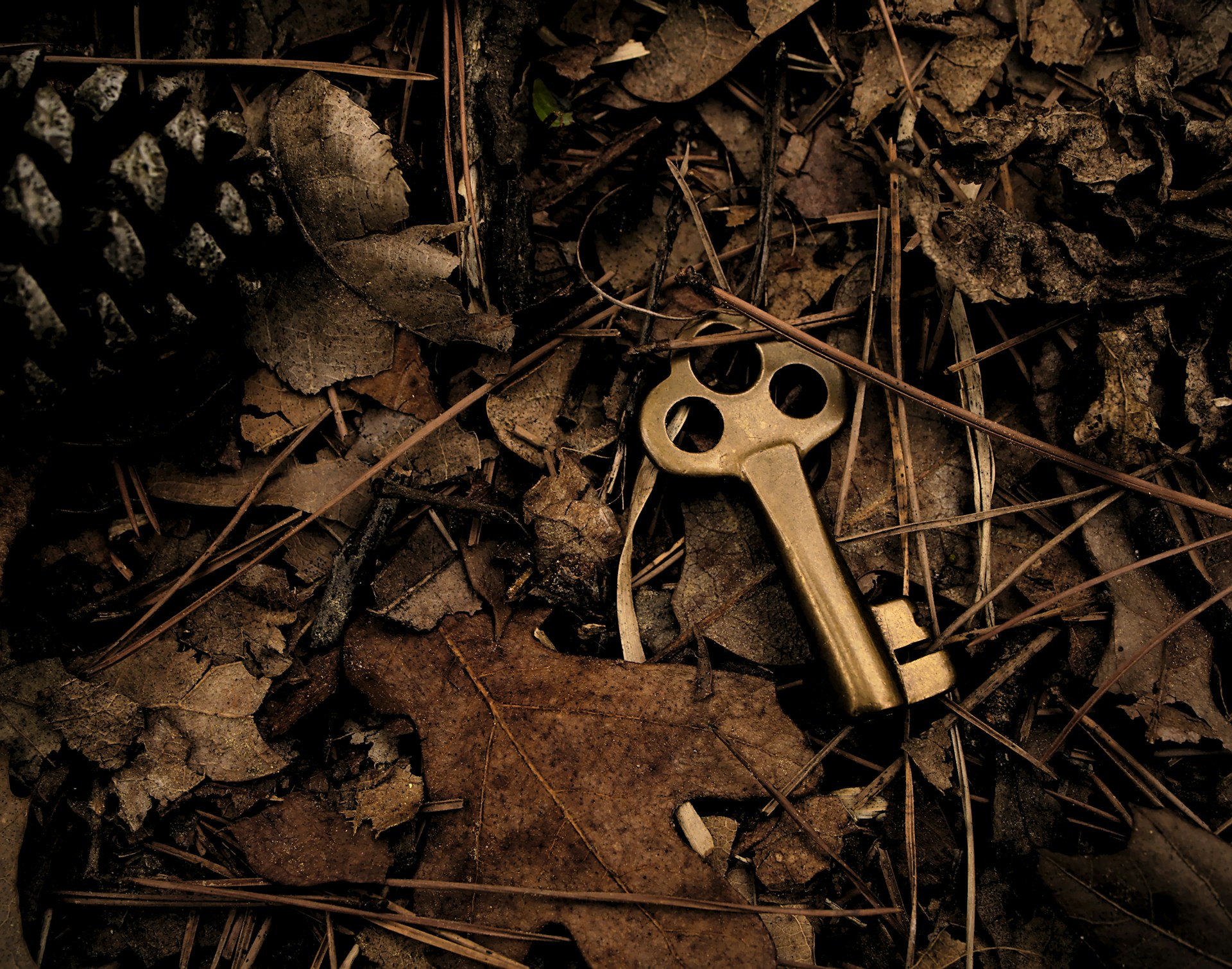 A skeleton key surrounded with dry leaves on the ground, representing hidden assets in divorce.